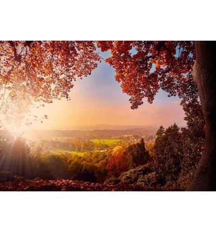 Foto tapete - Autumn delight - sunny landscape with countryside surrounded by trees and fields
