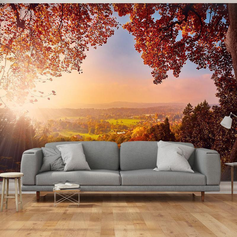34,00 € Fototapeet - Autumn delight - sunny landscape with countryside surrounded by trees and fields