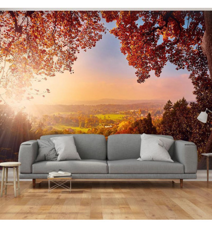 Papier peint - Autumn delight - sunny landscape with countryside surrounded by trees and fields
