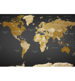 34,00 € Fotobehang - World Map: Modern Geography