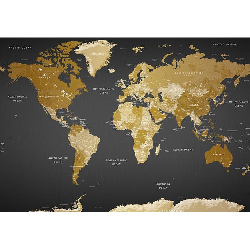 34,00 € Fotomural - World Map: Modern Geography