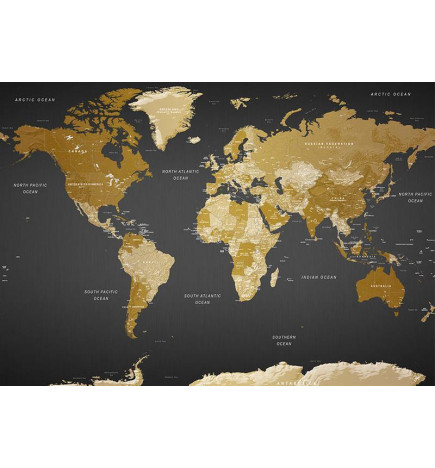 Carta da parati - World Map: Modern Geography