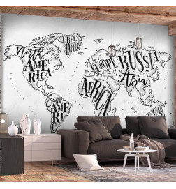 Wall Mural - Retro Continents (Grey)