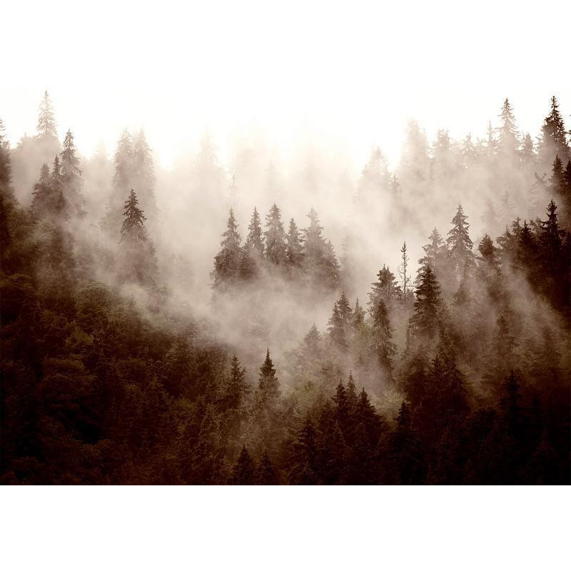 34,00 € Fotomural - Mountain Forest (Sepia)