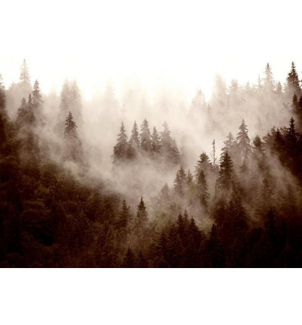 Foto tapete - Mountain Forest (Sepia)