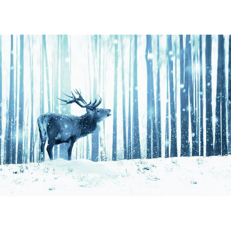 34,00 € Wall Mural - Winter animals - deer motif on a forest background in shades of blue