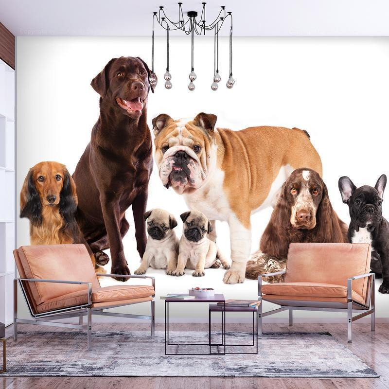 34,00 €Fotomurale con una riunione di cani di tutti i tipi