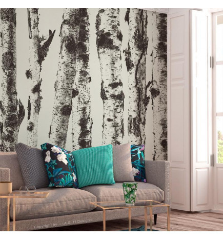 Wall Mural - Stately Birches - First Variant