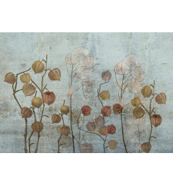 Foto tapete - Painted Lunaria