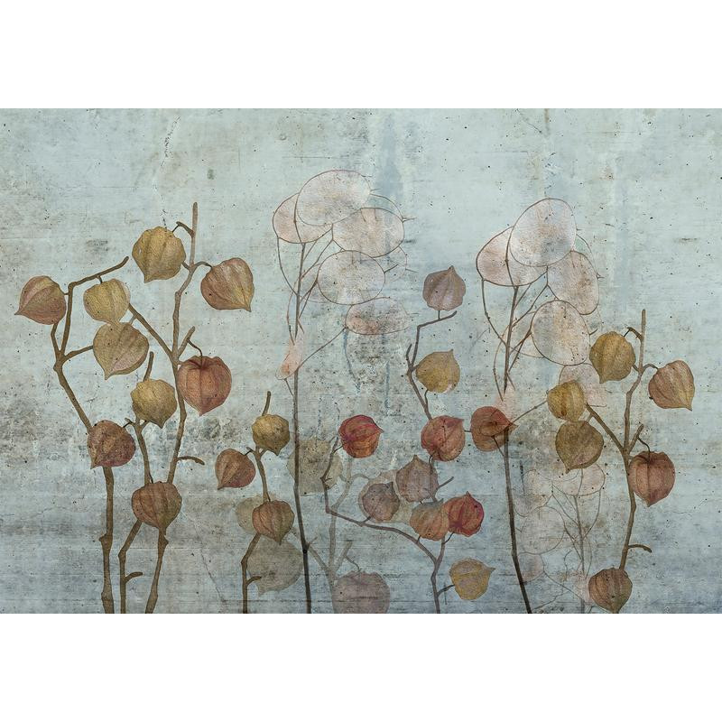 34,00 € Foto tapete - Painted Lunaria