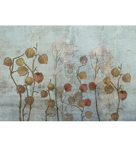 Fotomural - Painted Lunaria