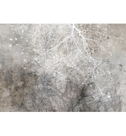 Wall Mural - Clear Branching