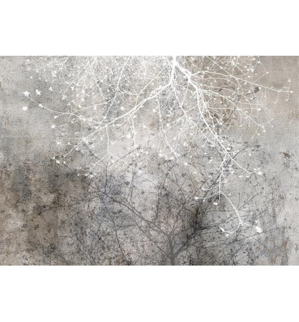 34,00 € Wall Mural - Clear Branching