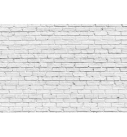 Wall Mural - White Stone
