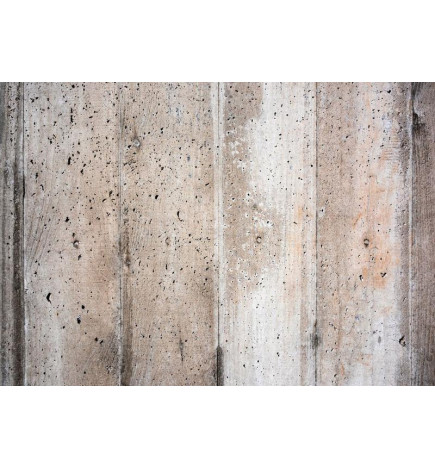 34,00 € Wall Mural - Old Concrete