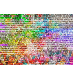 34,00 € Fotobehang - Rainbow Wall