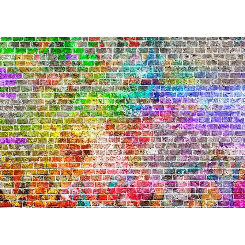 34,00 € Fotobehang - Rainbow Wall