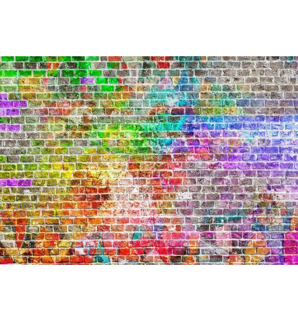Fototapetti - Rainbow Wall