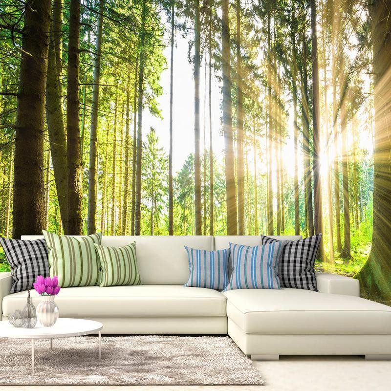 34,00 € Wall Mural - Forest Tales