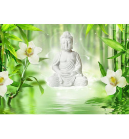 Foto tapete - Buddha and nature
