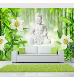 Fotobehang - Buddha and nature