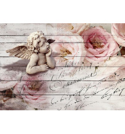 34,00 € Wall Mural - Angel and Calm