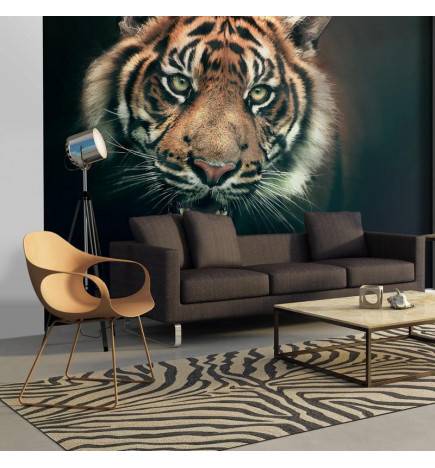 Wallpaper - Bengal Tiger