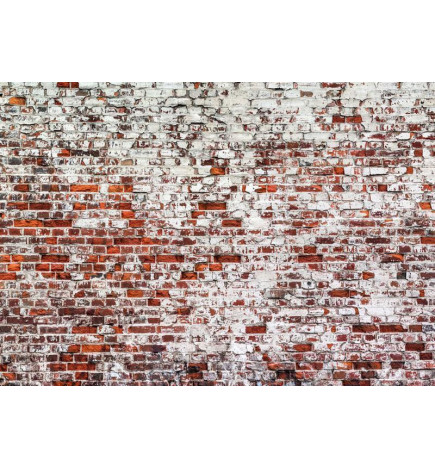 Wall Mural - Her Highness The Brick