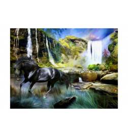 Fototapete - Pferd auf Hintergrund des himmelblauen Wasserfalls