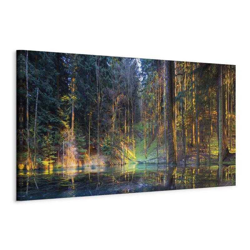 82,90 € Canvas Print - Pond in the Forest (1 Part) Narrow