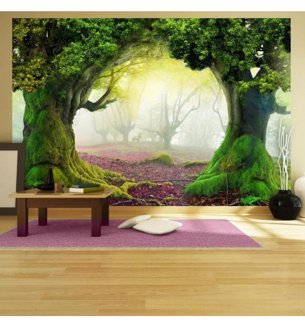 34,00 € Wall Mural - Enchanted forest