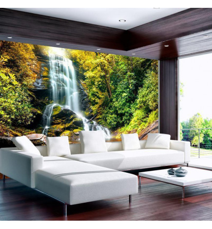 34,00 € Wall Mural - Another wonder of nature