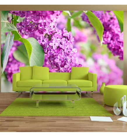 Papier peint - Lilac flowers