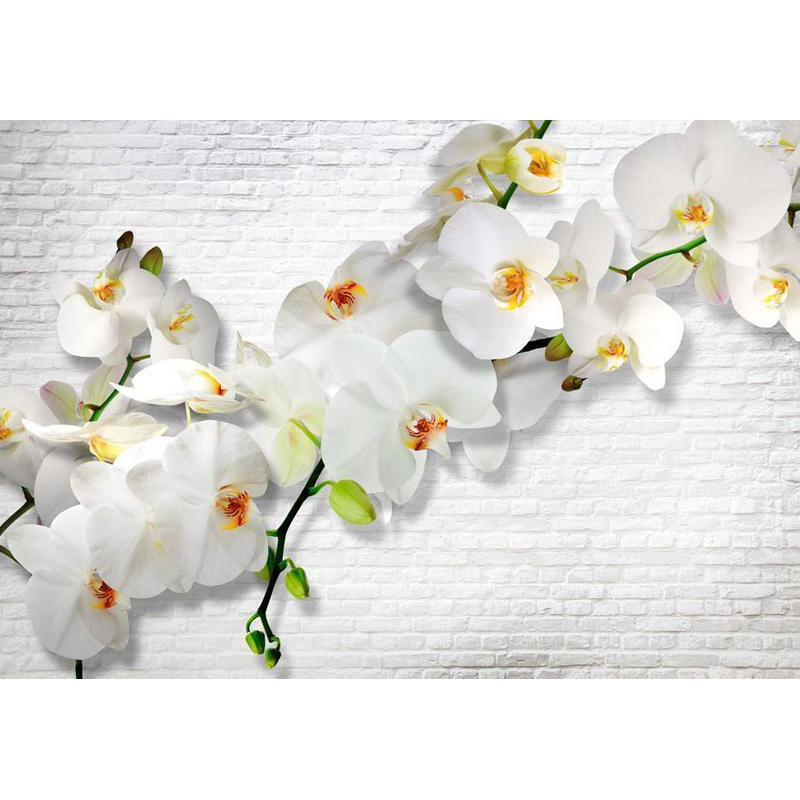 34,00 € Foto tapete - The Urban Orchid