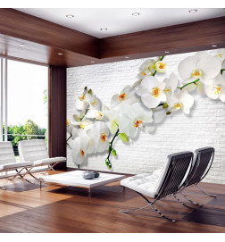 Mural de parede - The Urban Orchid