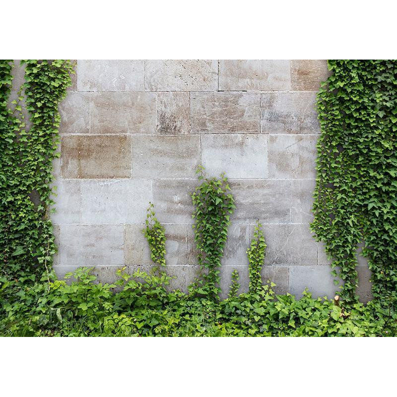 34,00 € Wall Mural - The Forgotten Garden