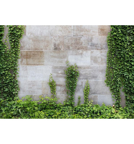 Wall Mural - The Forgotten Garden