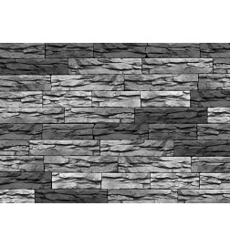 34,00 € Wall Mural - Concrete forests