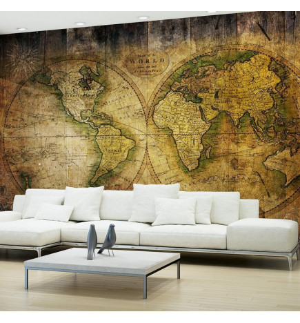 34,00 € Wall Mural - Searching for Old World