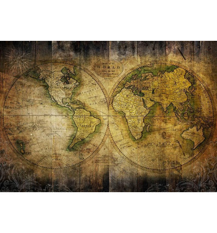 Wall Mural - Searching for Old World