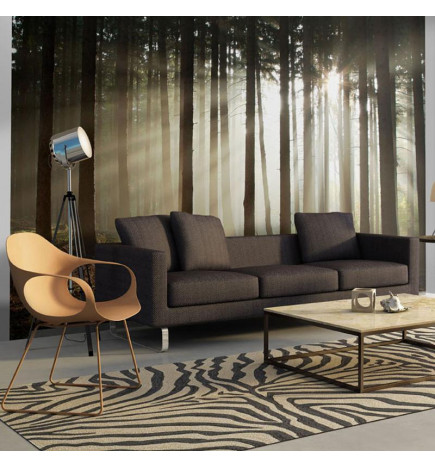 73,00 € Wall Mural - Coniferous forest