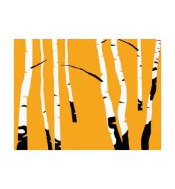 Fotomural - Birches on the orange background