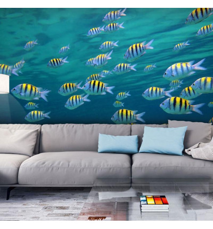 Mural de parede - Underwater landscape - Caribbean