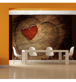 Mural de parede - Eternal love