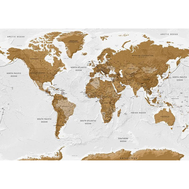 34,00 €Carta da parati - World Map: White Oceans