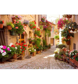 Fotobehang - The Alley in Spello (Italy)