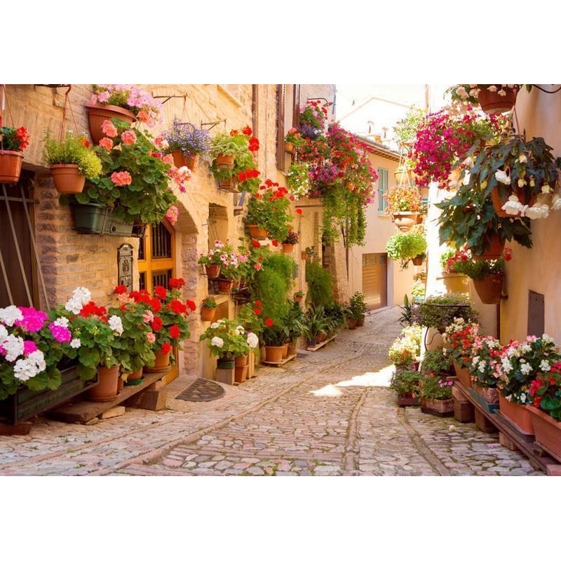 34,00 € Fototapeta - The Alley in Spello (Italy)