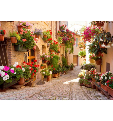 Fototapetti - The Alley in Spello (Italy)