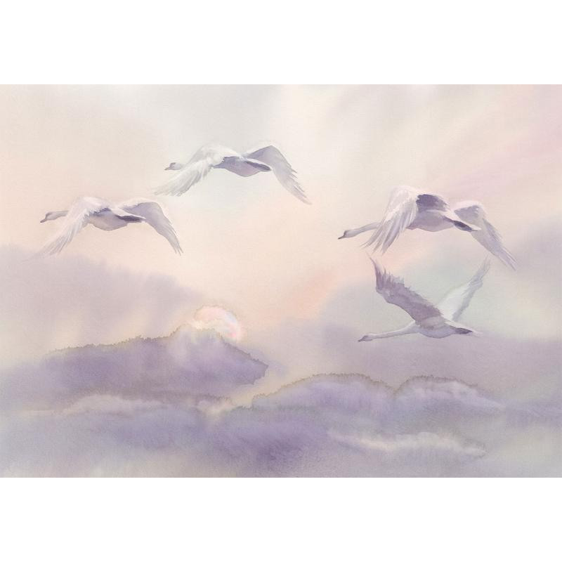 34,00 € Fototapeta - Flying Swans