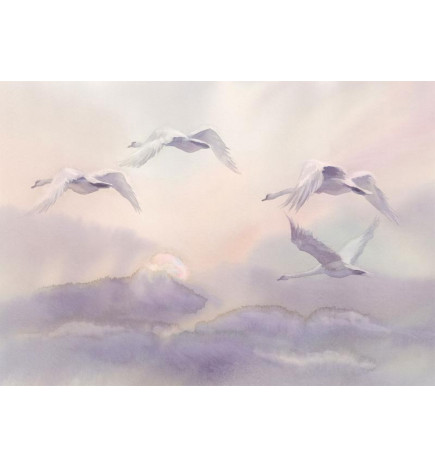 Fototapet - Flying Swans